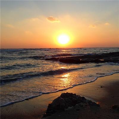 2023澳门资料大全正版手机app下载