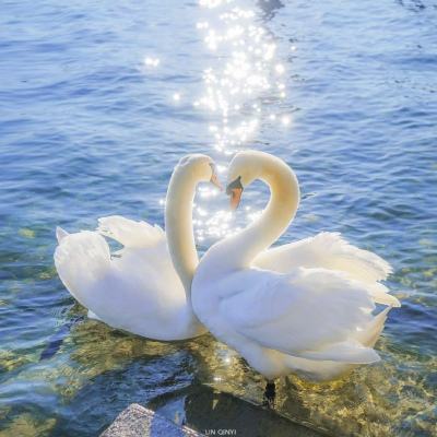 亚搏全站APP官网下载