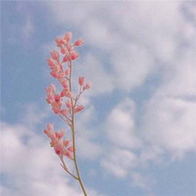 三张牌下载金花免费app下载