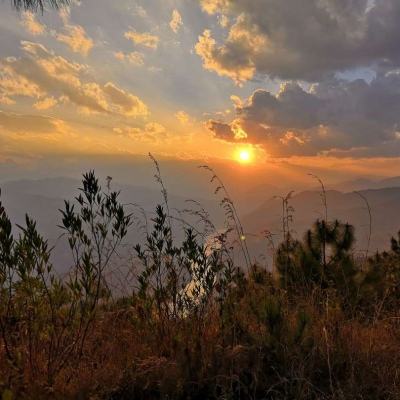 pg电子·模拟器(试玩游戏)手机app下载