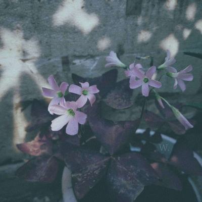 im电竞官方app下载截图